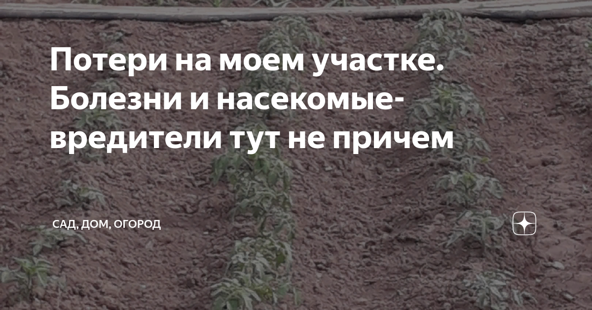 Какой болезнью на земле не болеют загадка. Какой болезнью на земле не болеют загадка