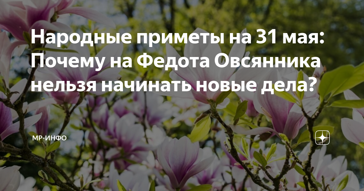 Народные приметы на 31 мая: Почему на Федота Овсянника нельзя начинать ...