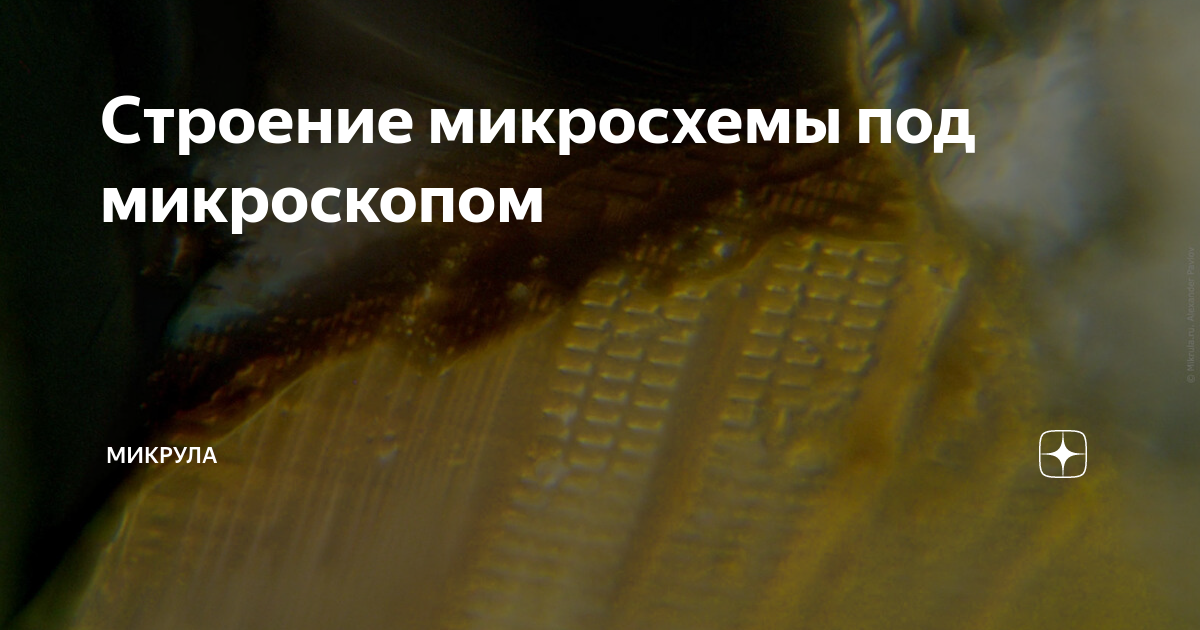 Строение микросхемы под микроскопом | Микрула | Дзен