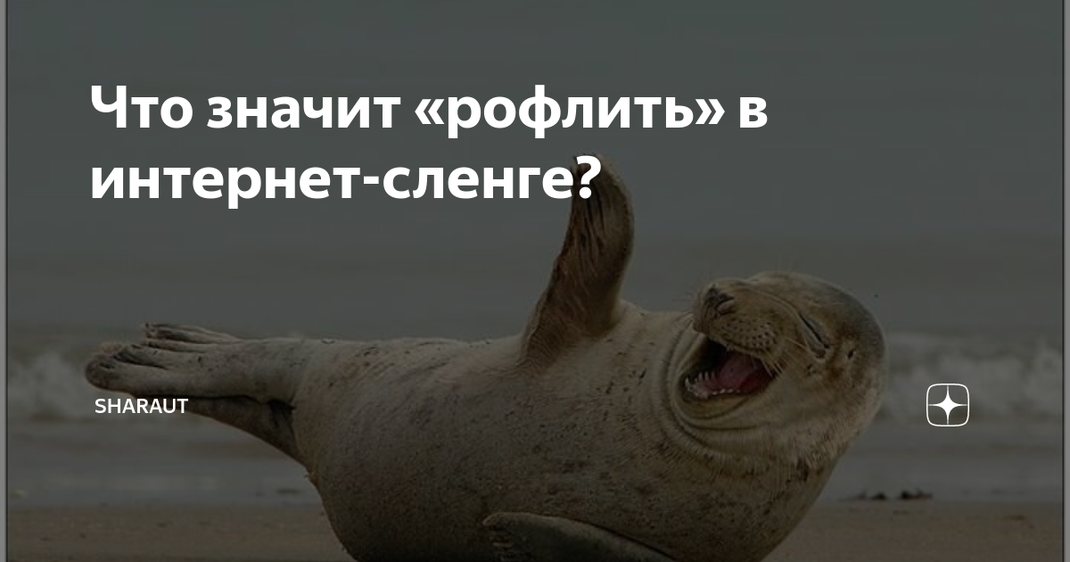 рофл сленг. рофлить чилить. молодежный сленг газета. современные мемы. рофлить что это на молодежном сленге.