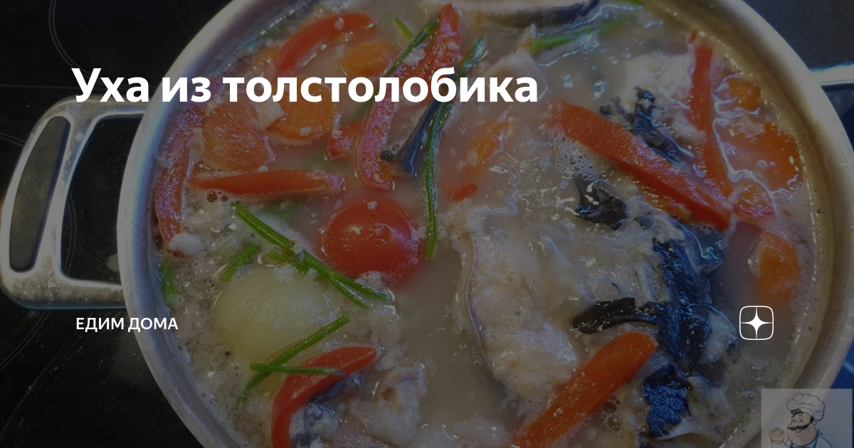 Уха из толстолобика – рыбный суп с необычайным вкусом и ароматом