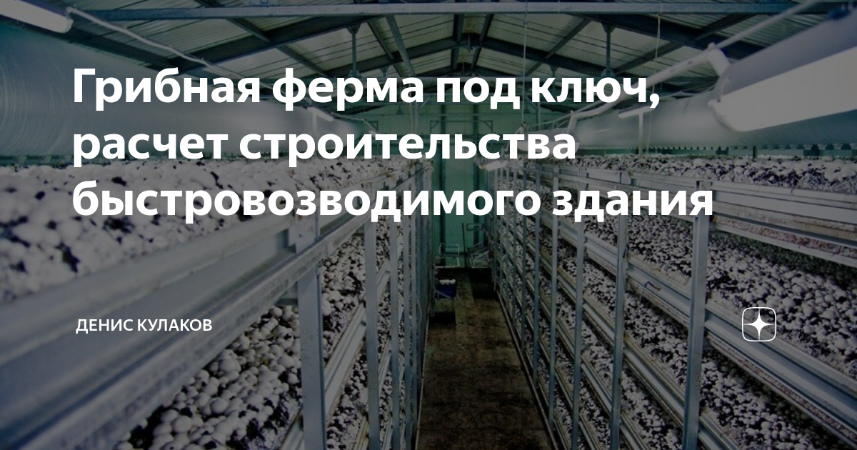 Грибная ферма под ключ, расчет строительства быстровозводимого здания ...