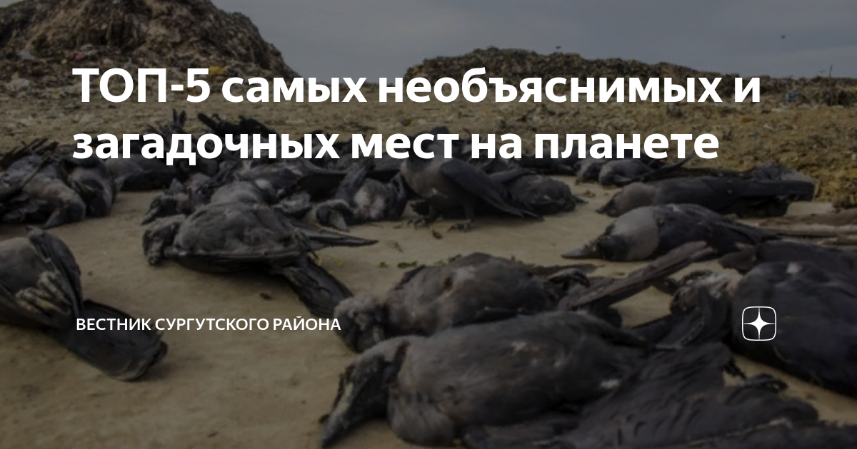 ТОП-5 самых необъяснимых и загадочных мест на планете | Вестник | Дзен