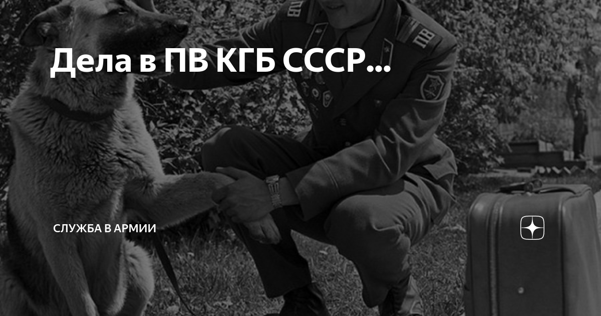 Дела в ПВ КГБ СССР... | Армия и Флот | Дзен