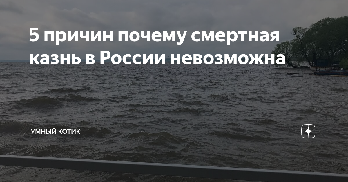 5 причин почему смертная казнь в России невозможна | Умный котик | Дзен