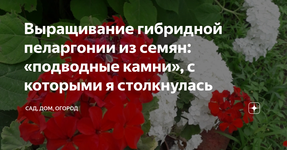 Выращивание гибридов