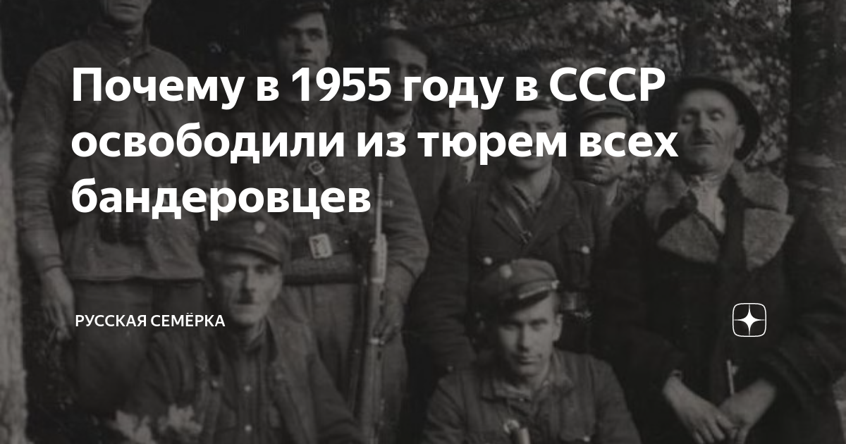 zen.yandex.ru
