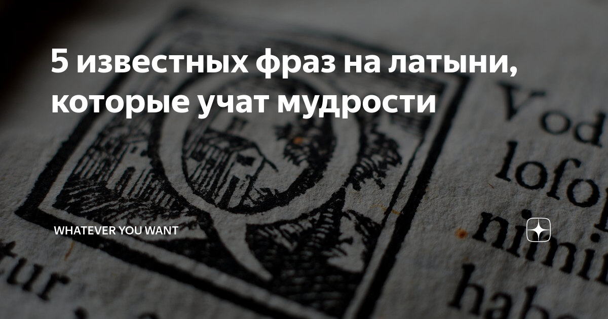 Радиоприемник орленок. Вм-85к магнитофон. Телерадиола беларусь-110. Experientia est optima. Experientia est optima magistra.