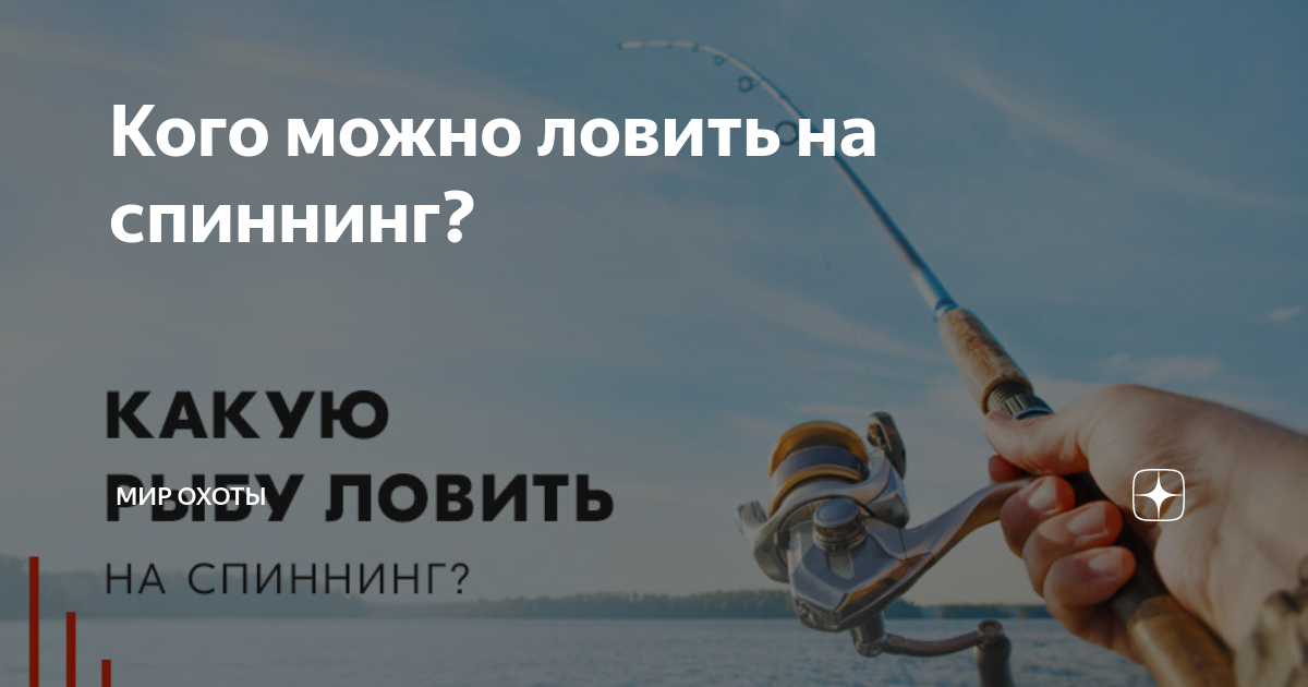 как ловить рыбу на спиннинг