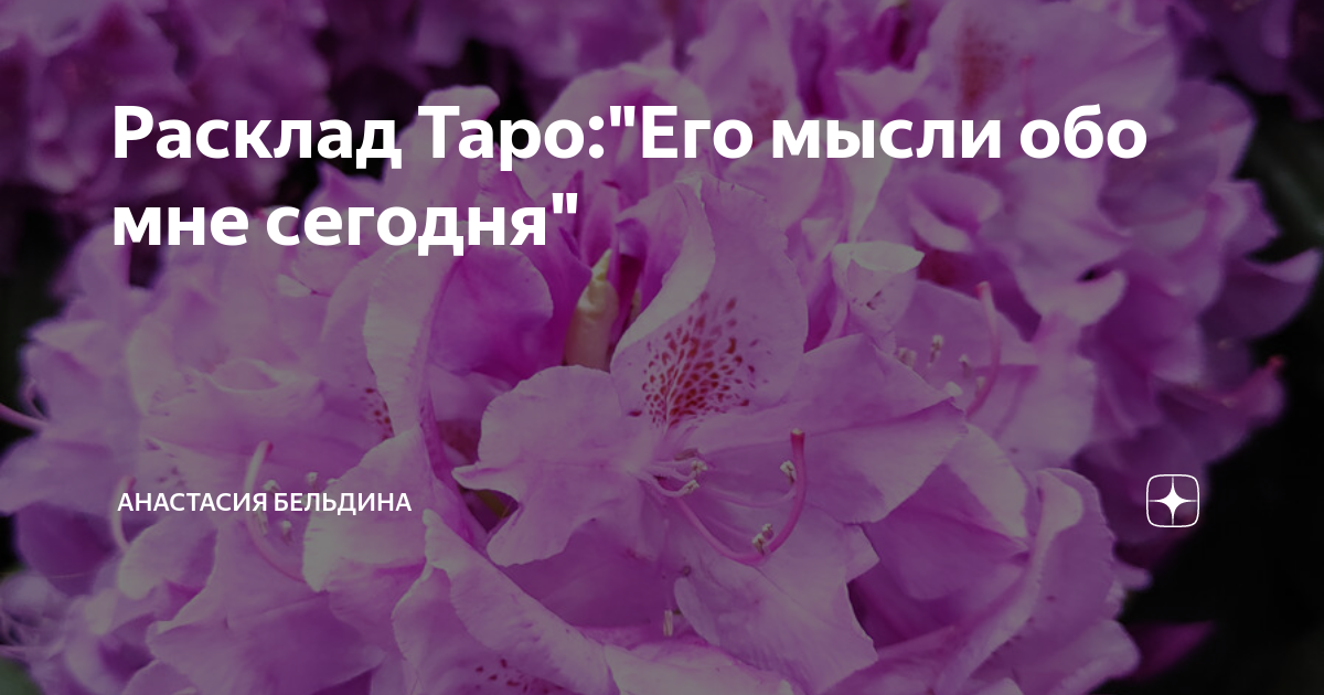 Таро его мысли обо мне