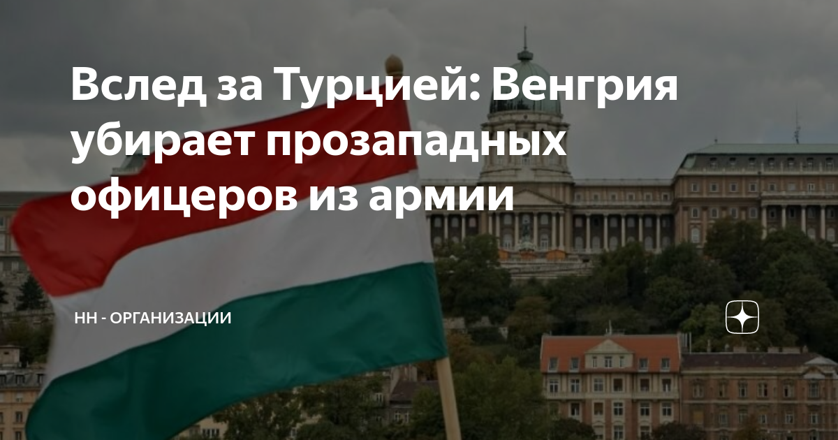 Венгрия и турция. Лига турции. Венгрия и турция. Венгрия турция результат. Вучич и эрдоган.