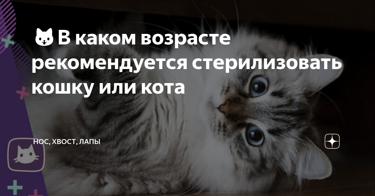 статус студента в польше до какого возраста