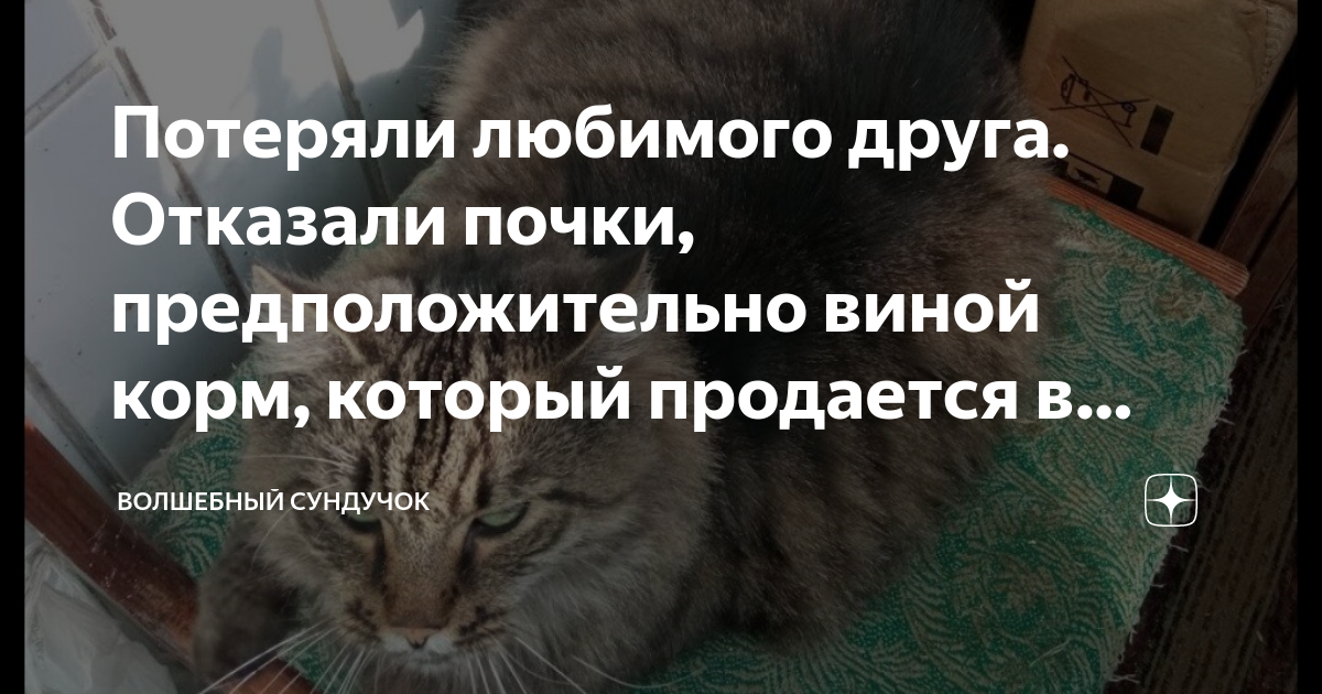 У кошки отказали. У кота отказали почки что делать.