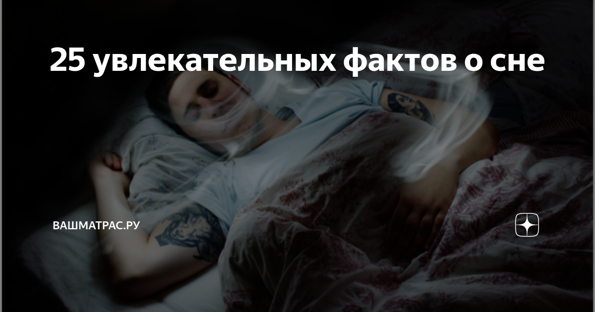 25 увлекательных фактов о сне | Vita Mia | Дзен