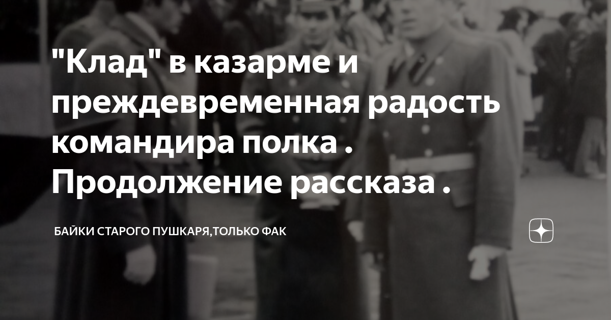 По понятиям командира полка старого кавалериста рубаки матвей