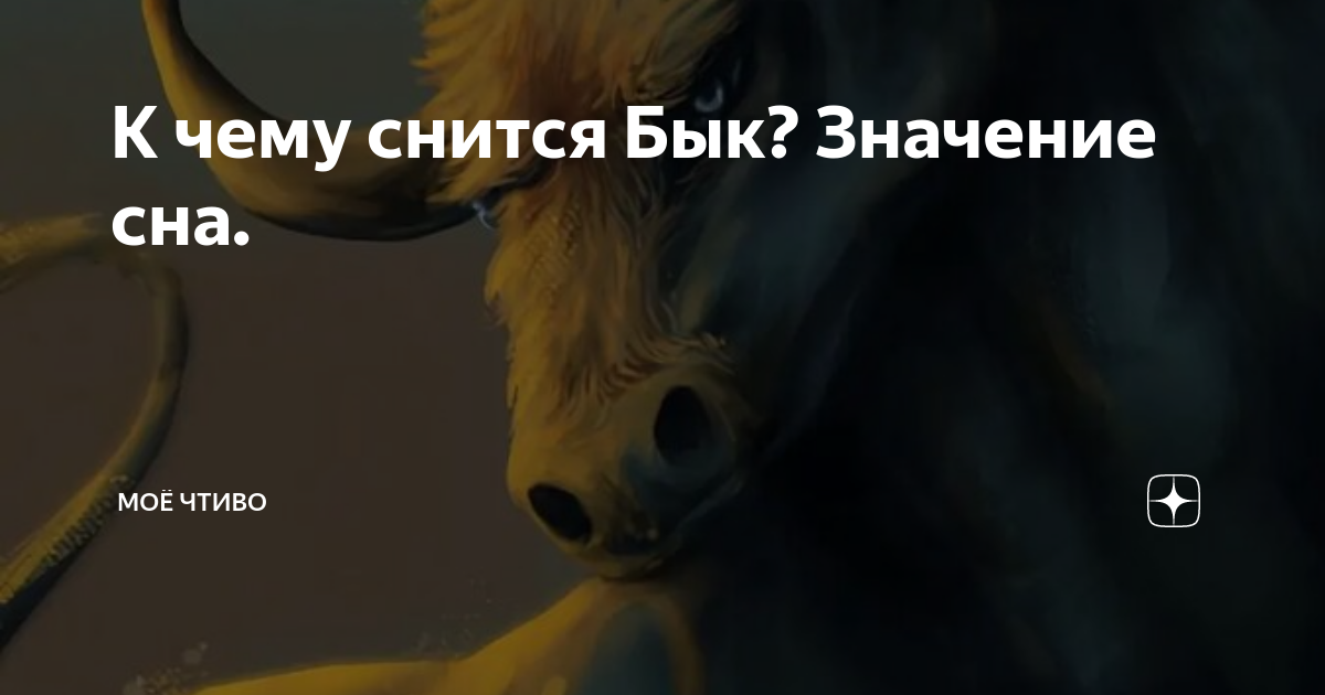Бык нападает во сне к чему снится. Видеть во сне быка для женщины. Бык во сне к чему снится. Видеть во сне быка для женщины. К чему снится бык женщине.