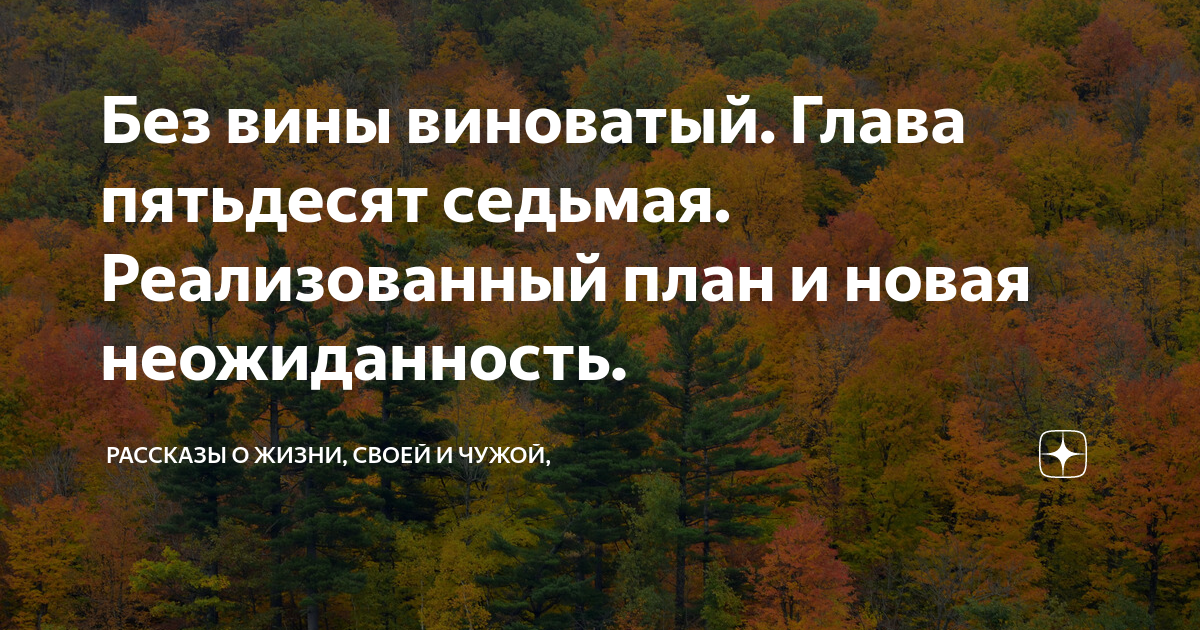 Новая родственница рассказ на дзен глава. Без вины виноватый дзен. Без вины виноватая рассказ на дзен. Без вины виноватый рассказ глава 27 дзен.