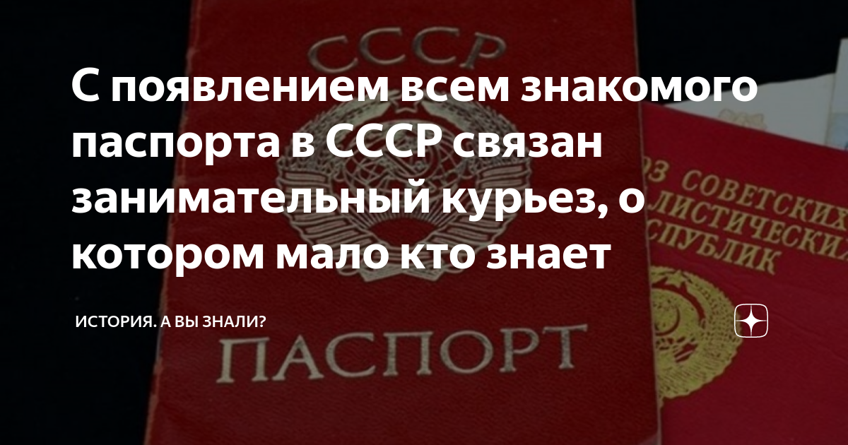 попал в ссср с паспортом будущего