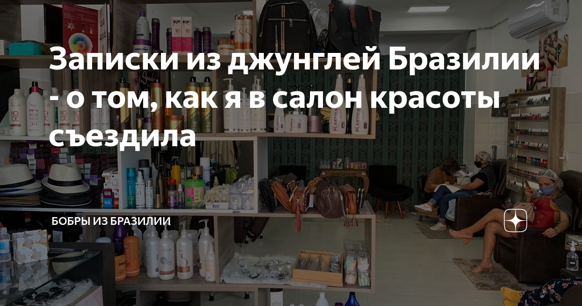 Дзен бобер о бразилии. Бобры из бразилии дзен сегодня. записки из джунглей бразилии последний блог. бобры из бразилии.