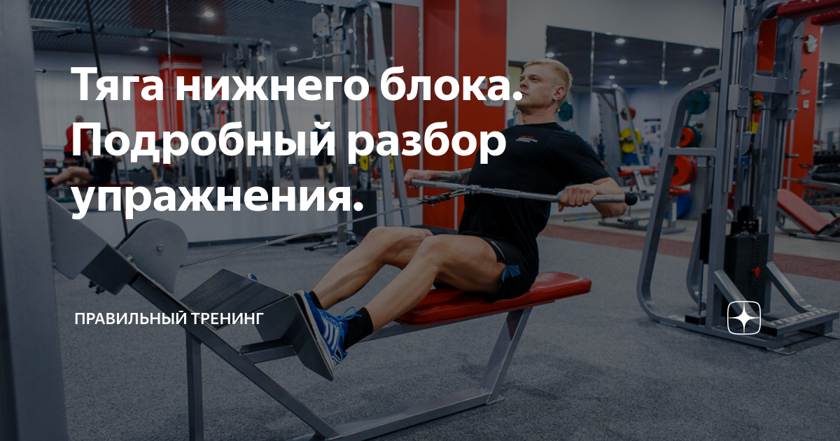 Тяга верхнего и Нижнего блока