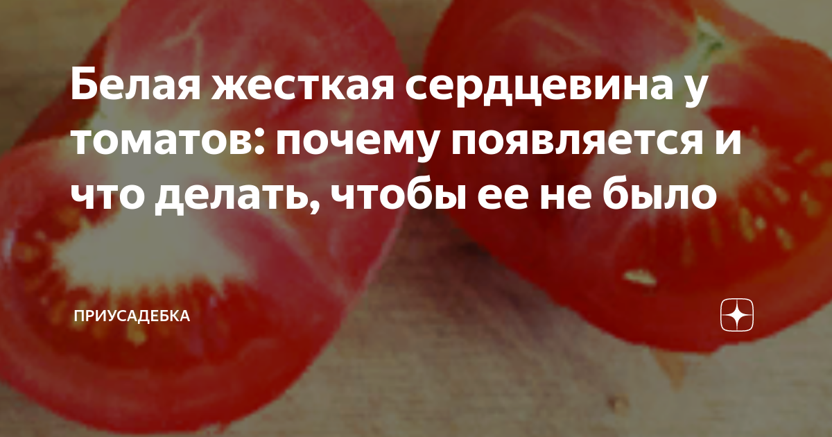 Почему помидоры жесткие с белой серединкой. | Соседи по даче | Дзен