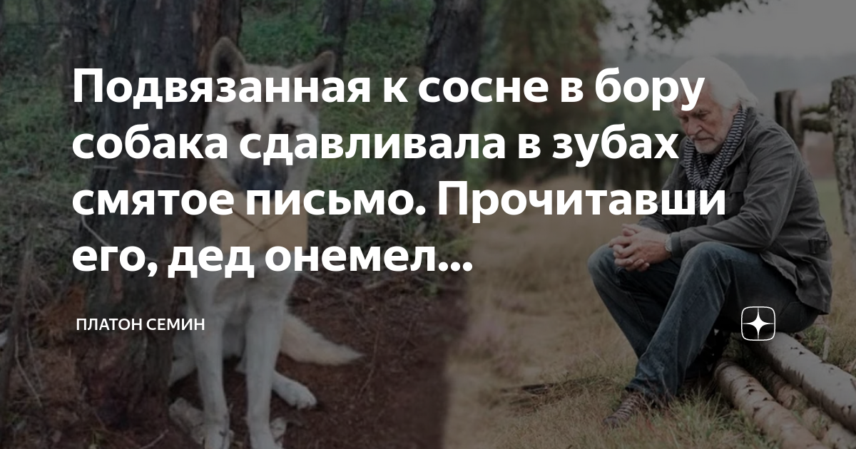 Платон биография и философия. Платон древняя греция. Диппош платон мошейник. Возвращение платон. Дедушка платона.