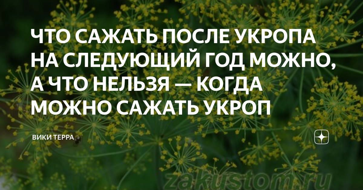 Как перенести лбо текущего года на следующий год в 1с