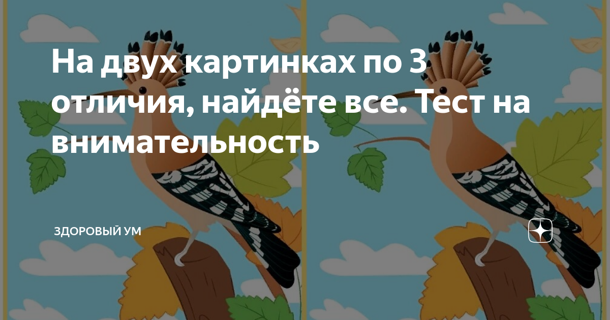 Дзен тесты по картинкам