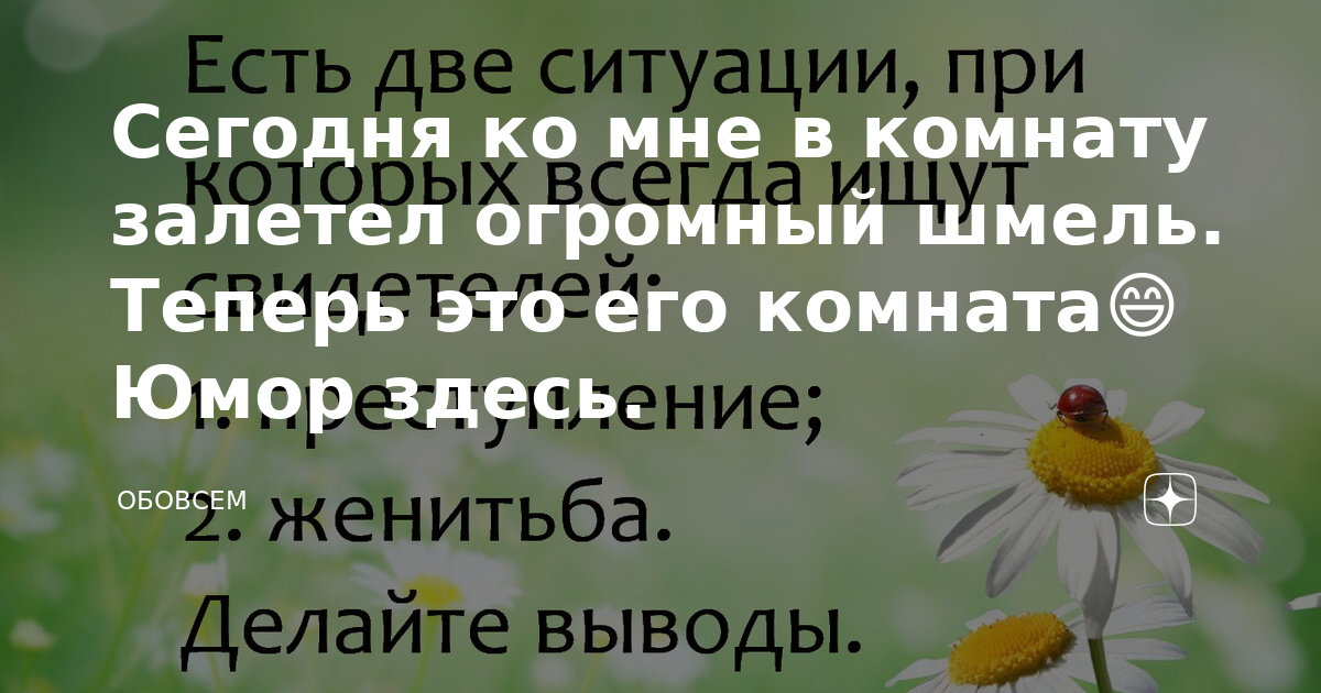 В комнату залетело 5 бабочек после этого в комнате стало на треть бабочек больше