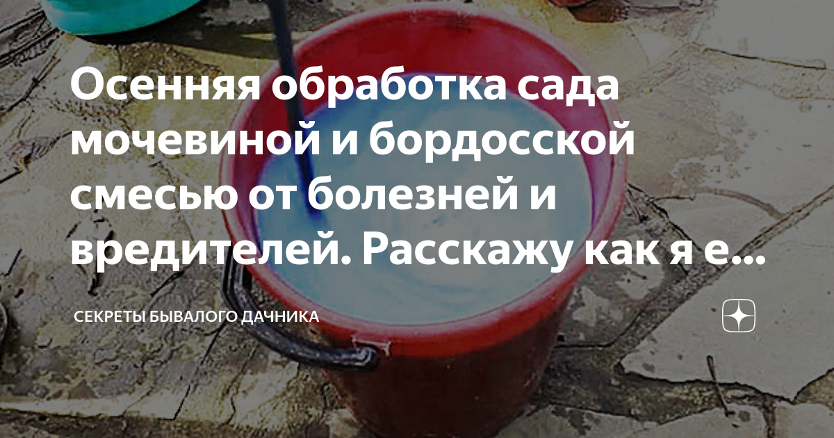 Бордосская смесь мочевина. Обработка стен бордосской. Обработка клубники бордосской жидкостью.