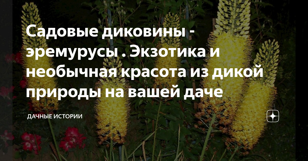 Дача и Сад: Дачный Ответ | ⠀ Садовая беседка: красота и уют на вашей даче 🏠 | Instagram