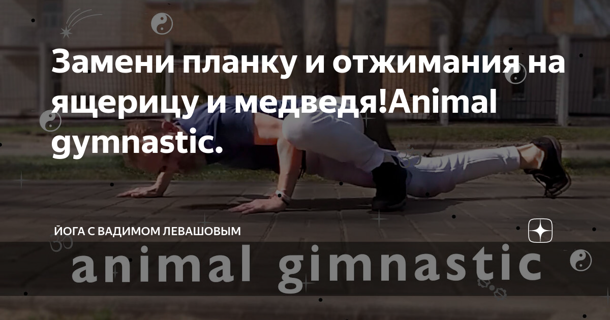 Поза ящерицы йога. Поза медведя упражнение. Поза ящерицы на санскрите. Animal gymnastic.