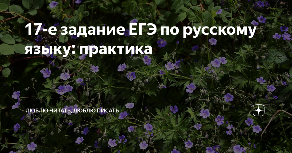 17-е задание ЕГЭ по русскому языку: практика | Люблю читать, люблю ...