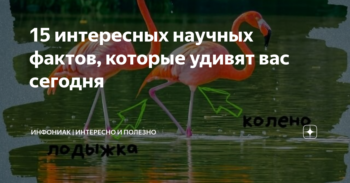 Научный факт это в биологии. Интересные факты которые удивляют. Необычные научные факты. Наука и факты картинки. Интересные научные факты.