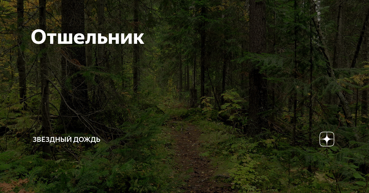 Часто выпадает карта отшельник