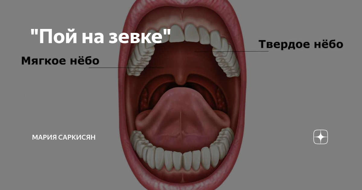 Рака неба во рту - Olphoto.ru
