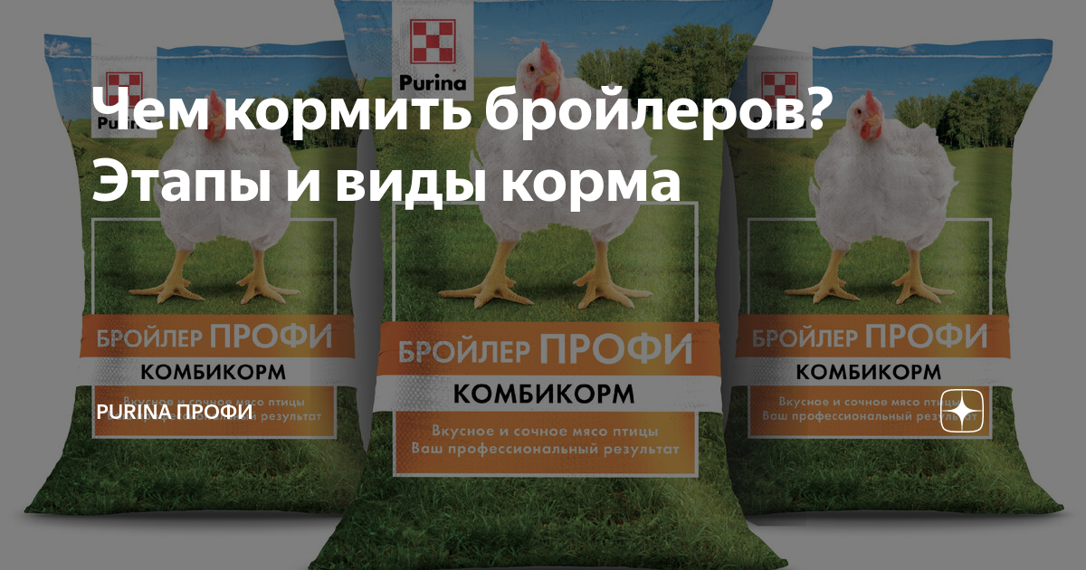 Можно бройлеров кормить травой. Бройлерский корм. Линия кормления бройлеров. Комбикорм для бройлеров Пурина схема кормления. Микро добавки Пурина для бройлеров