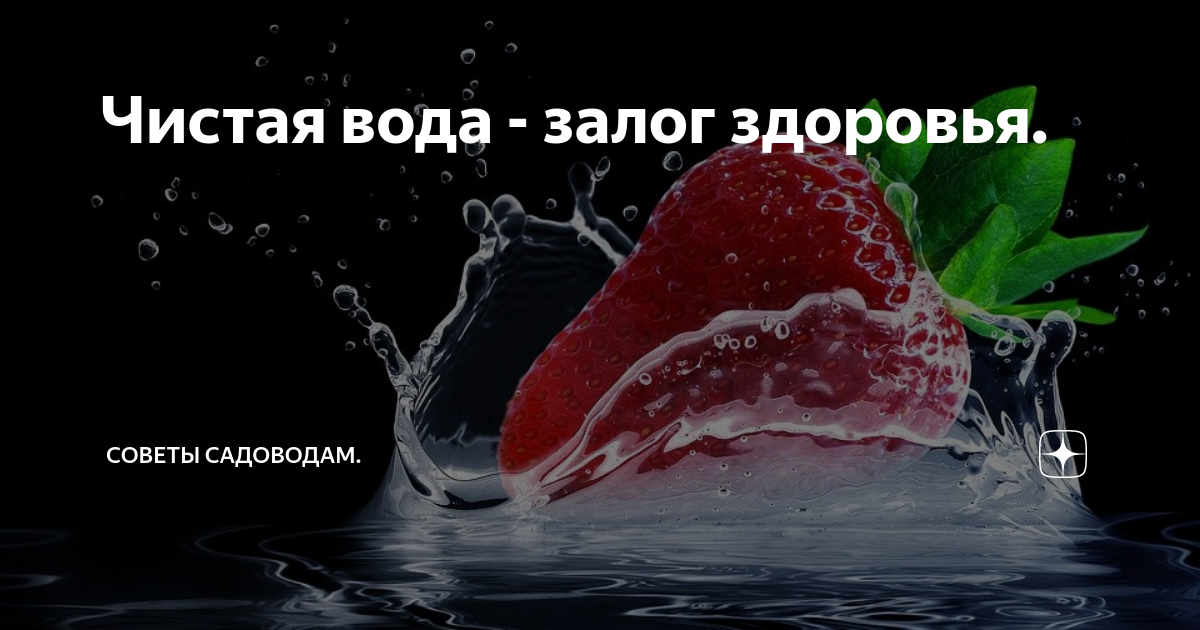 Вода залог. Вода залог. Водяная качественное или. Аквафор реклама. Фильтры для воды реклама баннер.