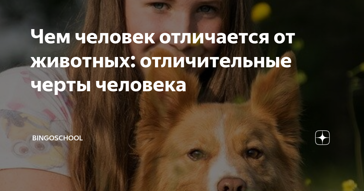 Чем человек отличается от животных: отличительные черты человека ...