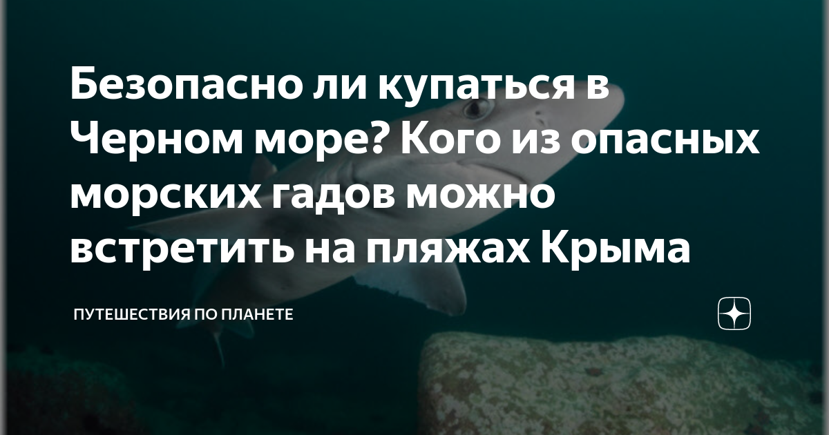 можно ли купаться в черном море во время месячных