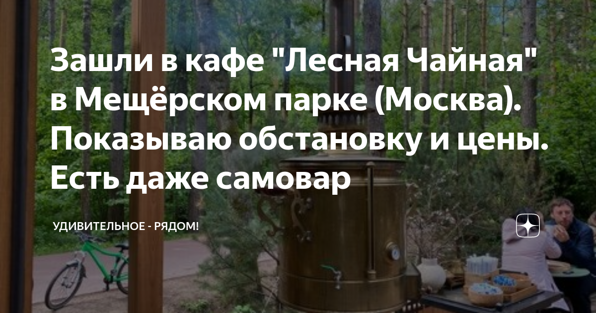 Лесная чайная в мещерском парке зимой