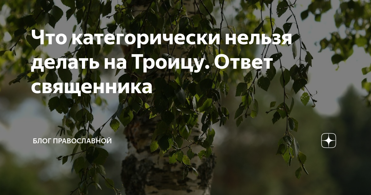 Что нельзя делать на Троицу. Троица что можно и что нельзя делать в этот праздник. Что нельзя делать на Троицу и почему. Почему в Троицу нельзя ходить на кладбище.