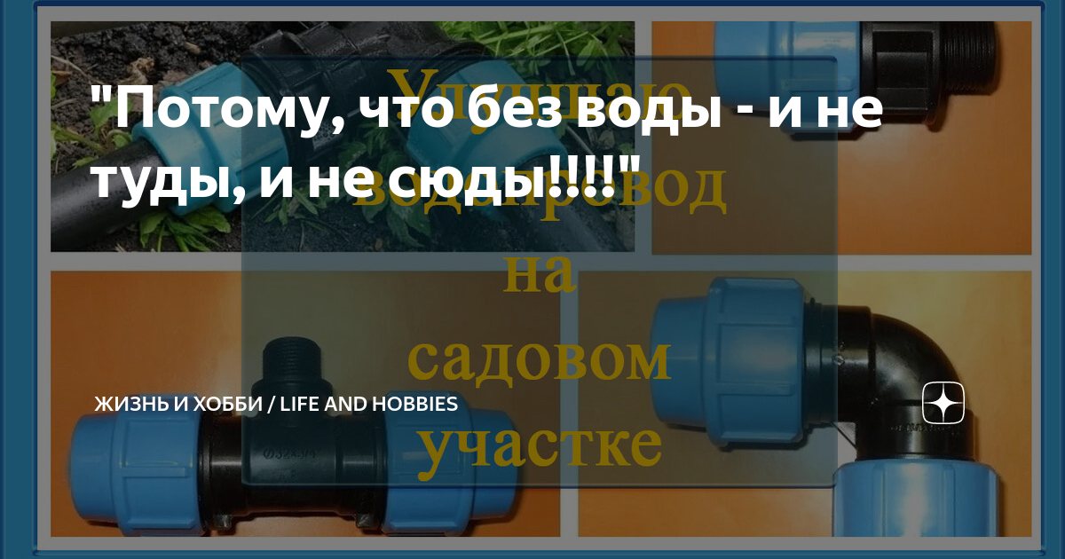 Без воды и не туды и не сюды картинки прикольные