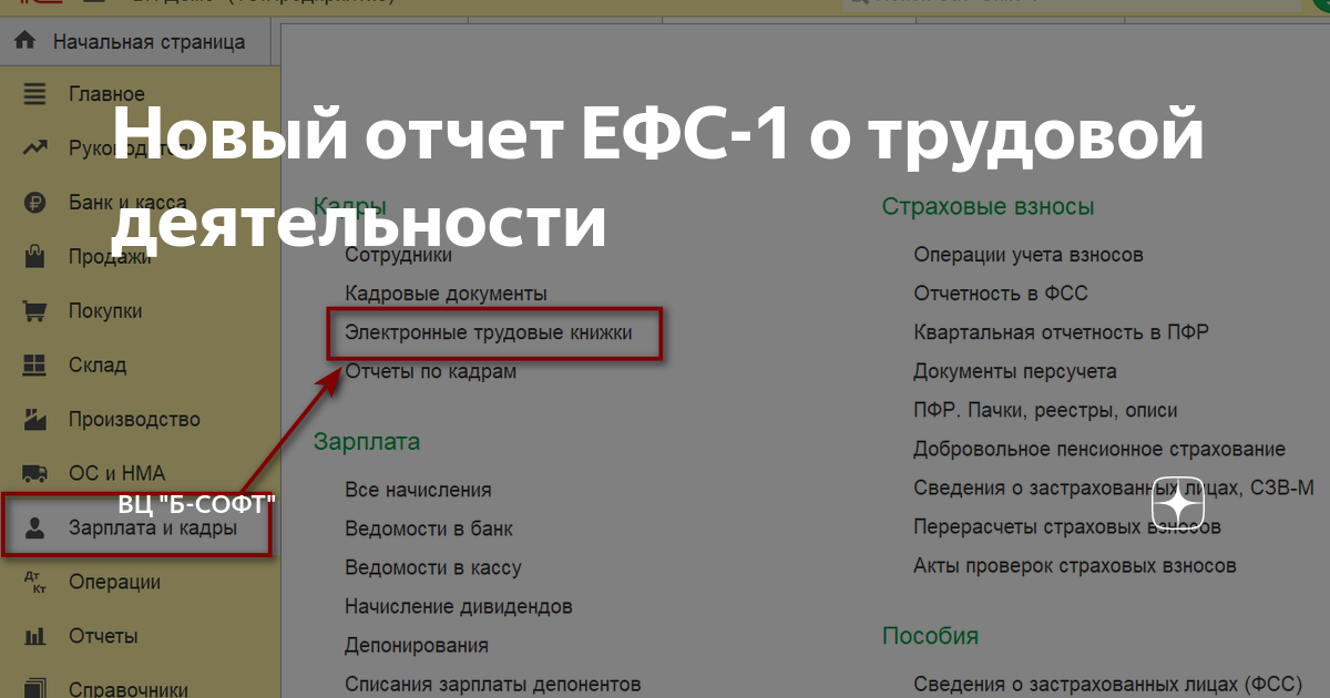 ЕФС -1 за 2023. ЕФС. ЕФС разделы. ЕФС 1 это за 2023 год. Создать отчет ефс 1