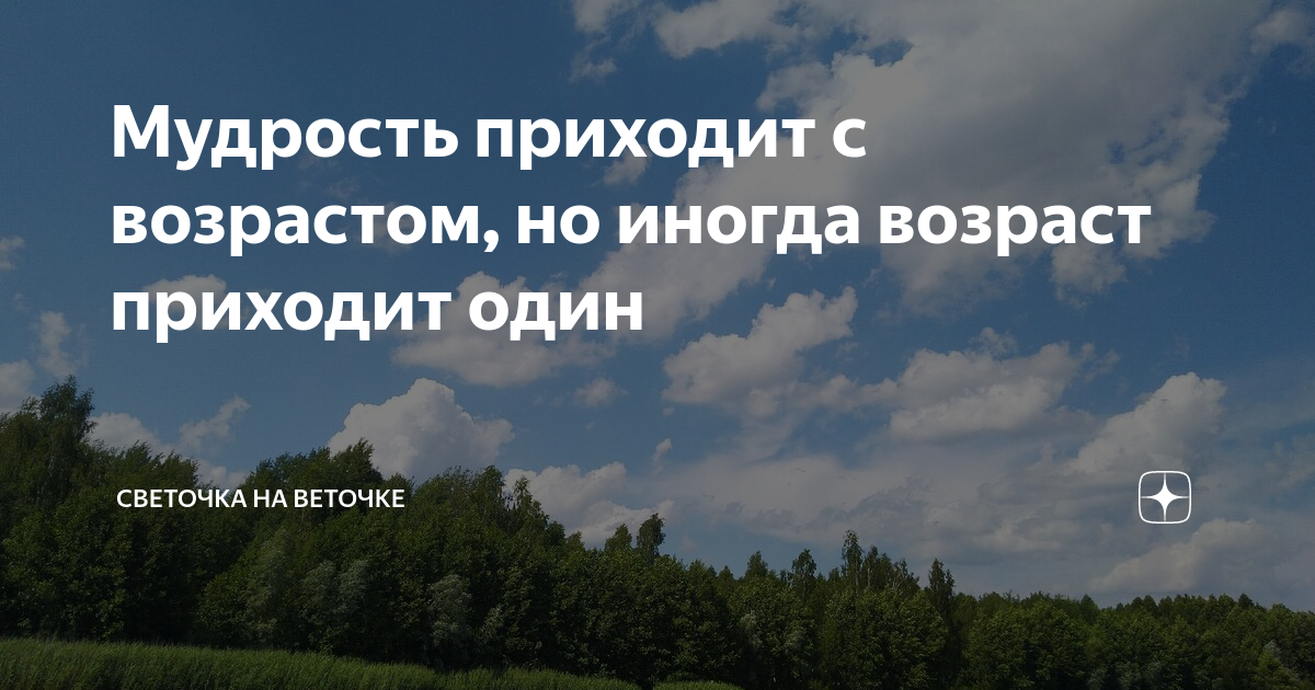 Мудрые притчи в картинках. Оставь свое мнение при себе. Мудрость приходит с годами. Рассказ о мудром старике. Притча о мудреце.