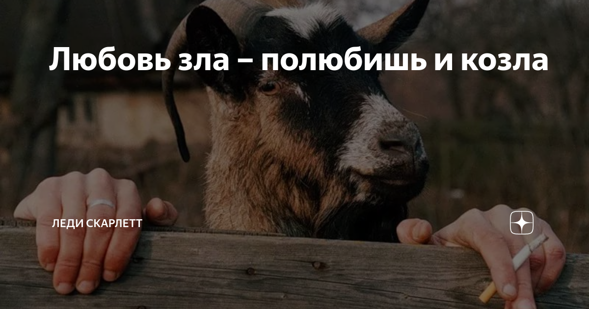 Любовь зла полюбишь и козла картинки