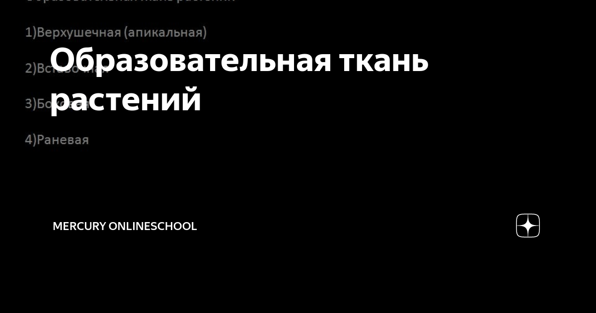 Арматура растений стереометрическая система тканей обеспечивающих прочность растений