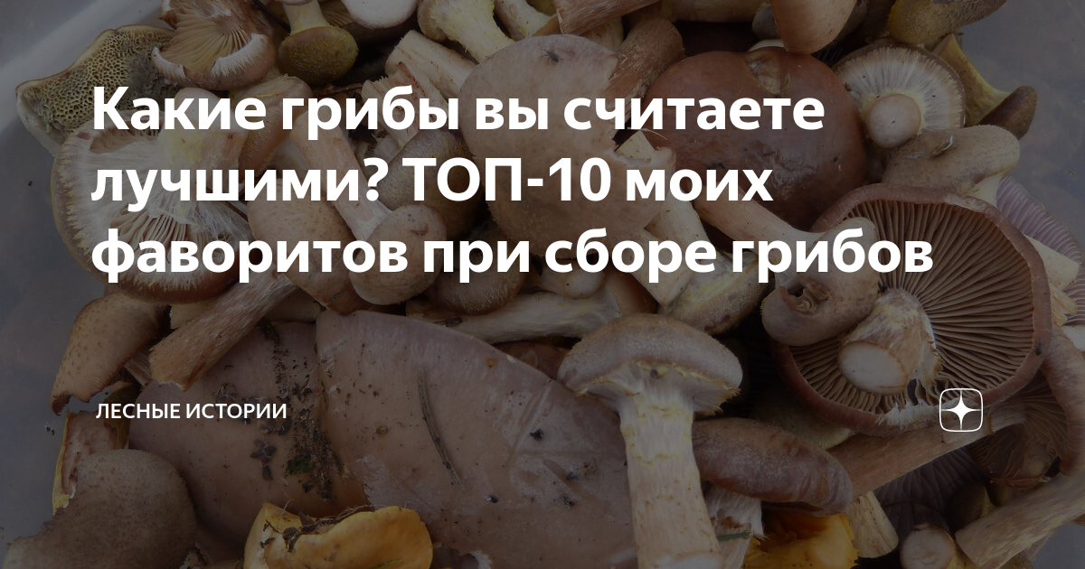 сколько грибов можно в день