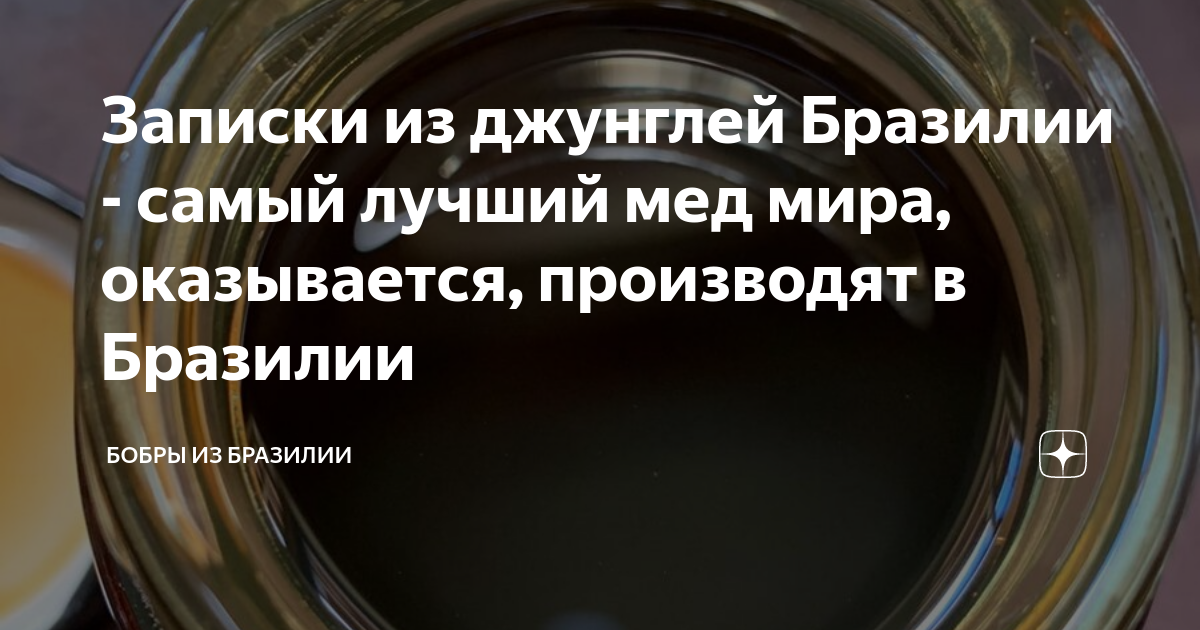 Дзен бобер о бразилии. Бобры из бразилии дзен.
