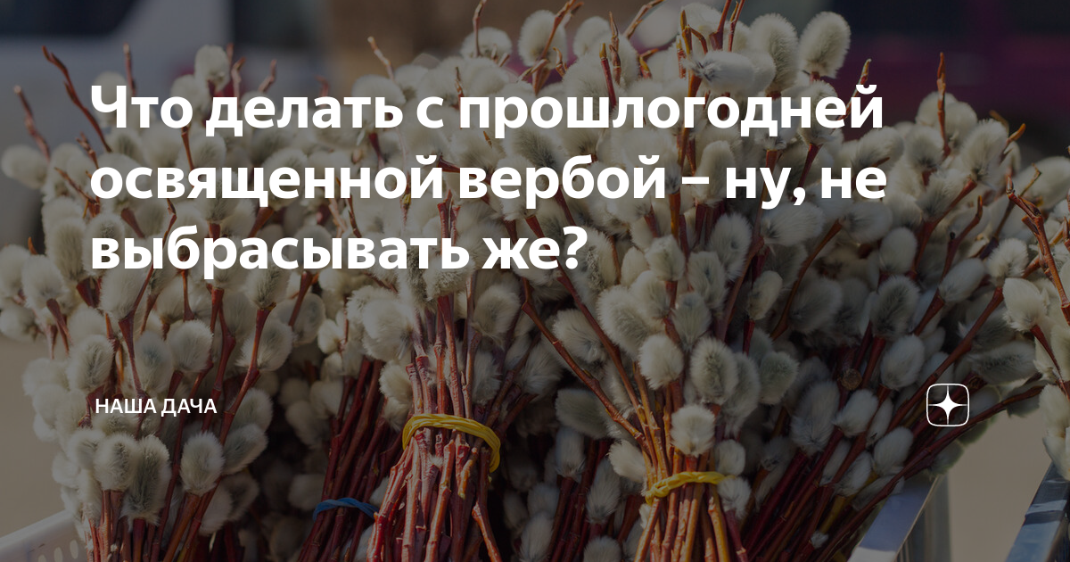 Что сделать с прошлогодней вербой. Что делать с прошлогодней вербой неосвещенной. Ветка вербы. Что делать с прошлогодней вербой неосвещенной. Верба православие.